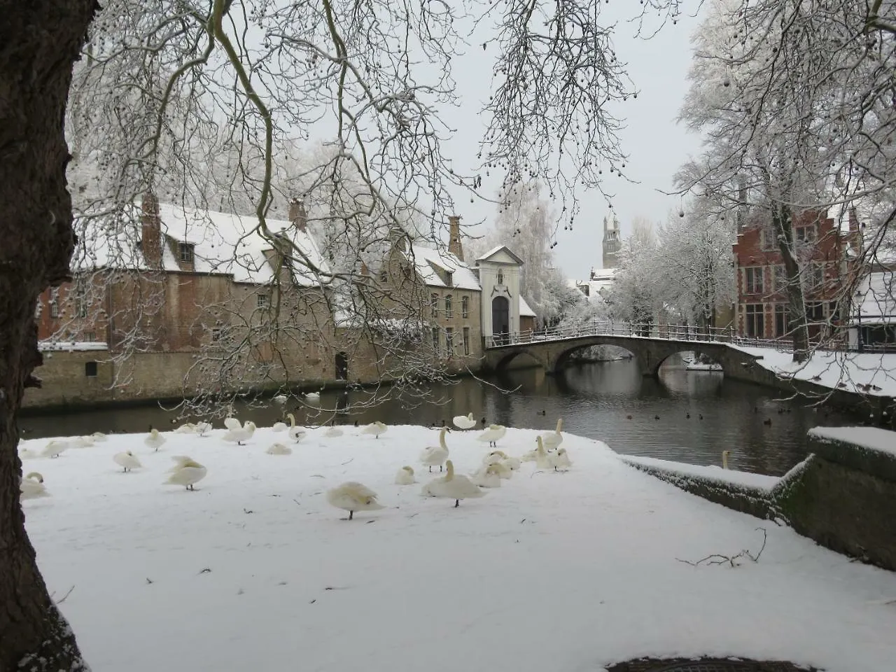 Holiday Home Bruges De Pepel